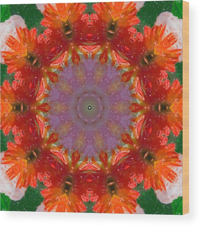 Photograph Wood Print featuring the photograph Peony Kaleidoscope 2 by Natalie Rotman Cote