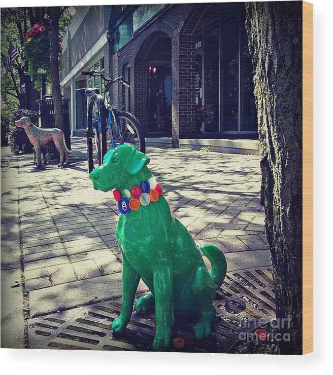 Photography Wood Print featuring the photograph Pets on Parade by Frank J Casella