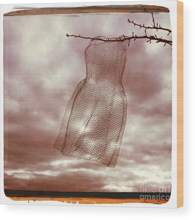 Wire Wood Print featuring the photograph Petticoat by Linda Lees