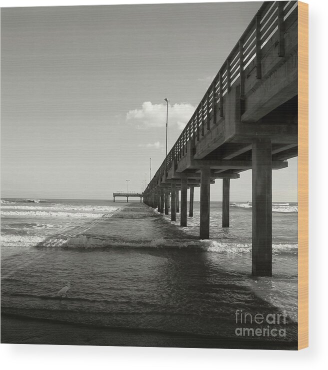 Beach Wood Print featuring the photograph Pier 1 by Sebastian Mathews Szewczyk
