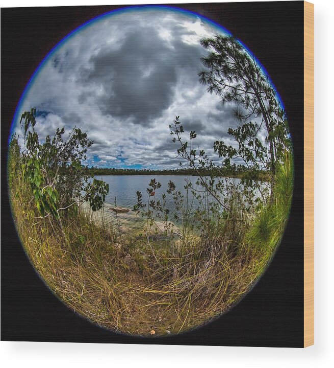 Fisheye Wood Print featuring the photograph Pine Glades Lake 18 by Michael Fryd