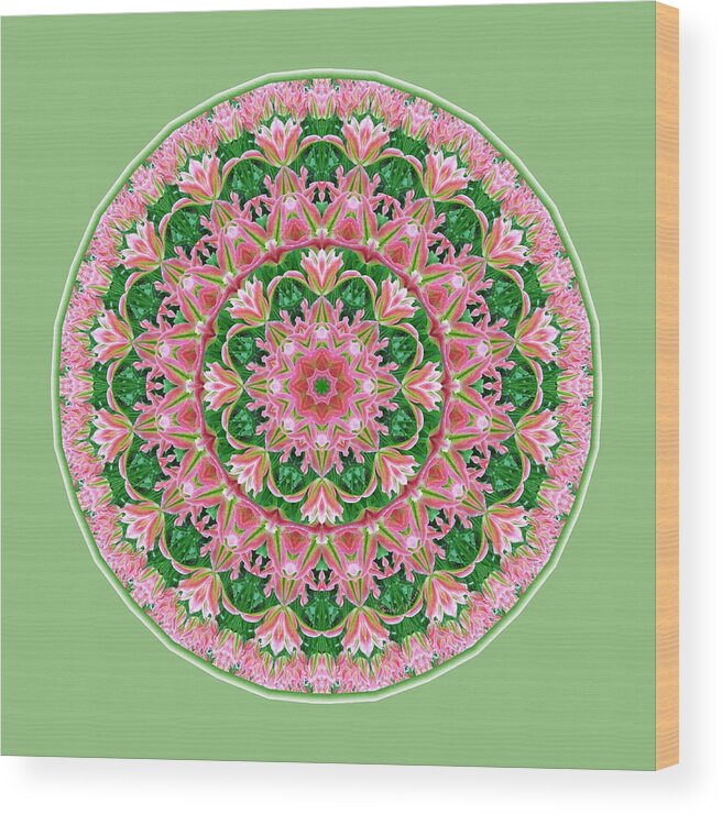 Tulips Wood Print featuring the digital art Pink Delight by Lynde Young
