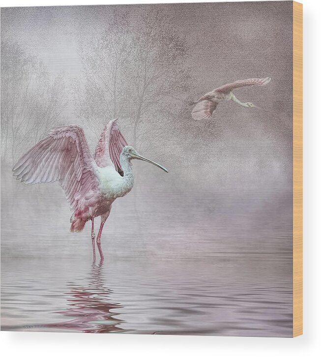 Roseate Spoonbills Wood Print featuring the photograph Pink Mist by Brian Tarr