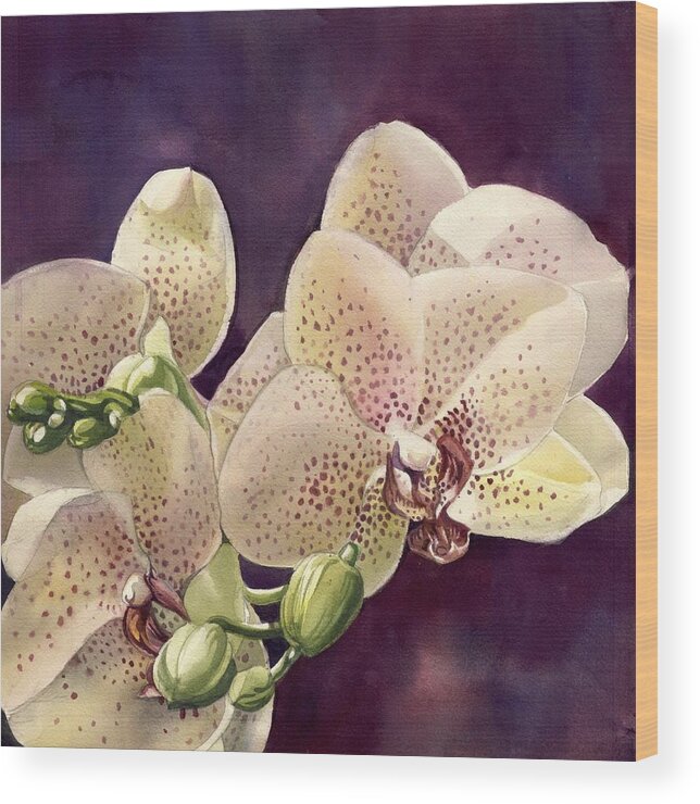 Pink Orchid Wood Print featuring the painting Pink Orchid by Alfred Ng