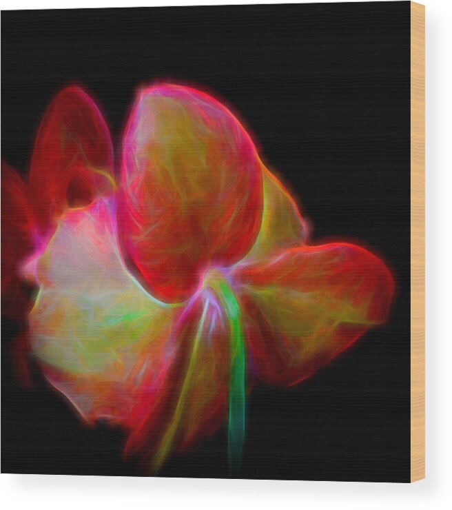 Orchid Wood Print featuring the photograph Pink Phal by Winnie Chrzanowski