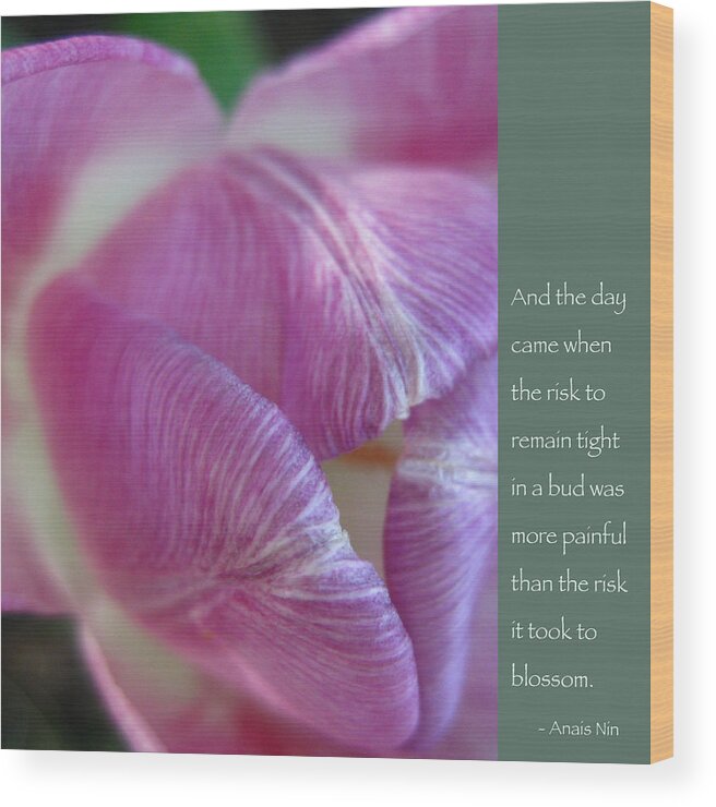 Tulip Wood Print featuring the photograph Pink Tulip with Anais Nin Quote by Hermes Fine Art