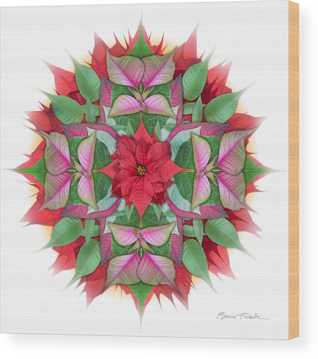 Holiday Wood Print featuring the photograph Poinsettia Mandala by Bruce Frank