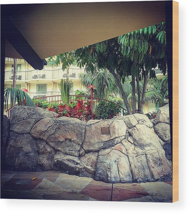 Plants Wood Print featuring the photograph #poolside
#plants #ca #california by Rob Murray