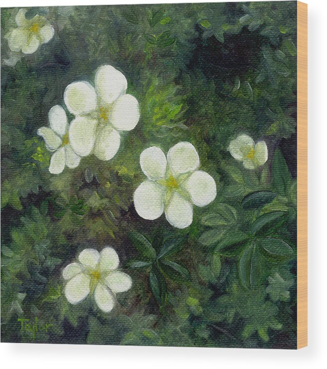 Flowers Wood Print featuring the painting Potentilla by FT McKinstry