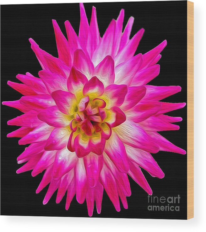 Pink Dahlia Wood Print featuring the photograph Prettiest in Pink by Jilian Cramb - AMothersFineArt