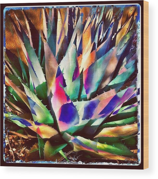 Feelgoodphoto Wood Print featuring the photograph Psychedelic Agave by Paul Cutright