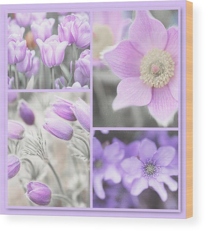 Jenny Rainbow Fine Art Photography Wood Print featuring the photograph Purple Spring Bloom Collage. Shabby Chic Collection by Jenny Rainbow