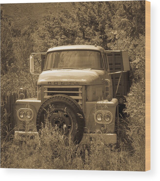 Idaho Wood Print featuring the photograph Ranch Truck by Dave Hall