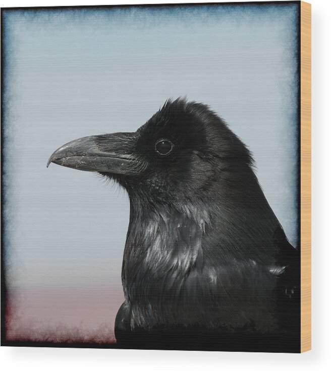 Raven Wood Print featuring the photograph Raven Profile by Ernest Echols