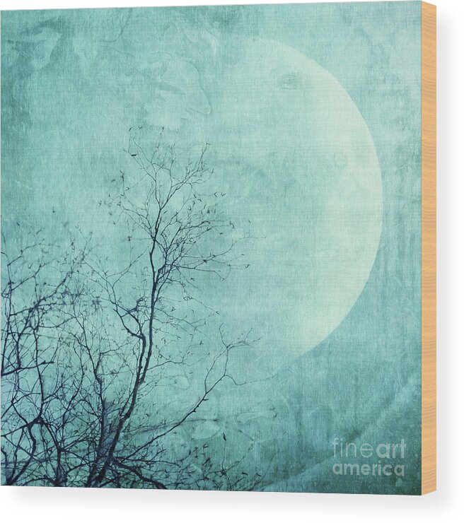 Moon Wood Print featuring the photograph Reach for the moon by Priska Wettstein