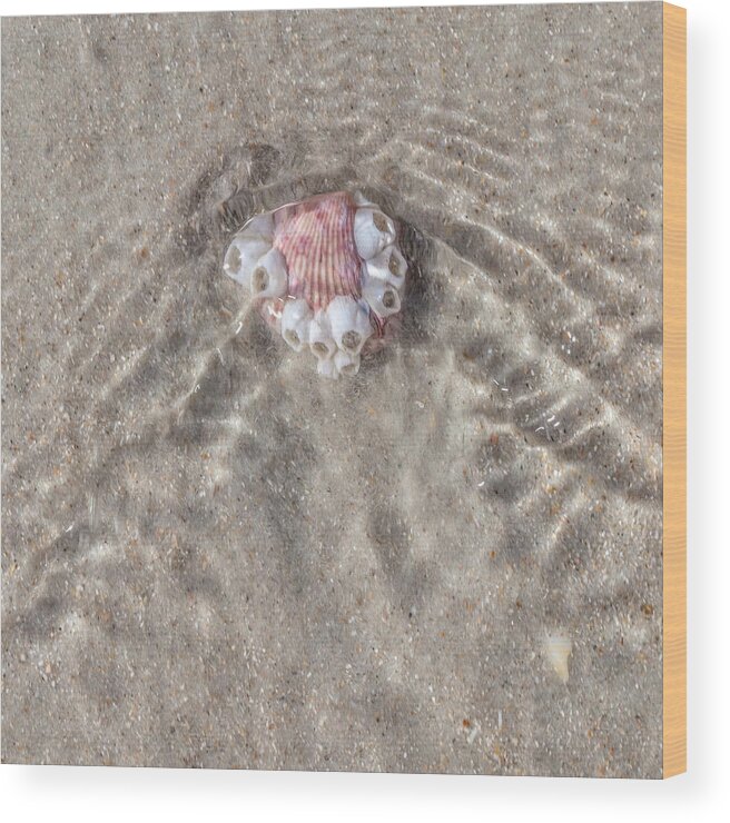Beachscape Wood Print featuring the photograph Receding Shockwave by W Chris Fooshee