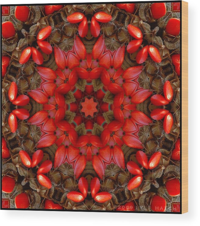 Kaleidoscope Wood Print featuring the digital art Red Kaleidoscope No. 1 by Lyle Hatch