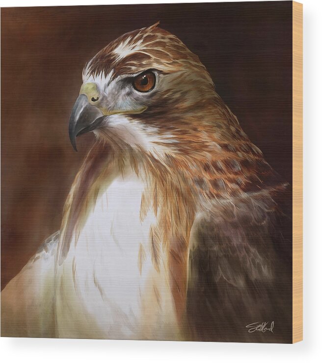 Redtailed Hawk Art Wood Print featuring the painting RedTailed Hawk Portrait by Steve Goad