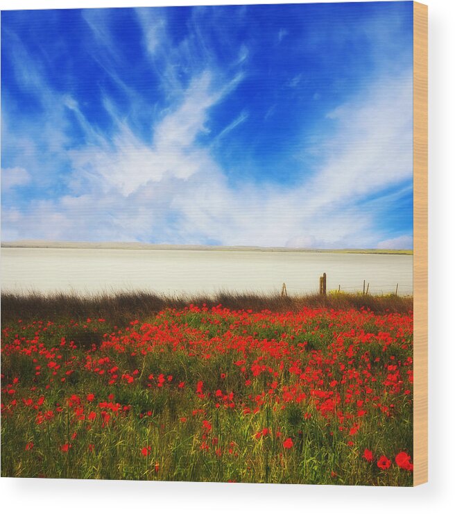 Poppies Wood Print featuring the photograph Remember Summer by Philippe Sainte-Laudy
