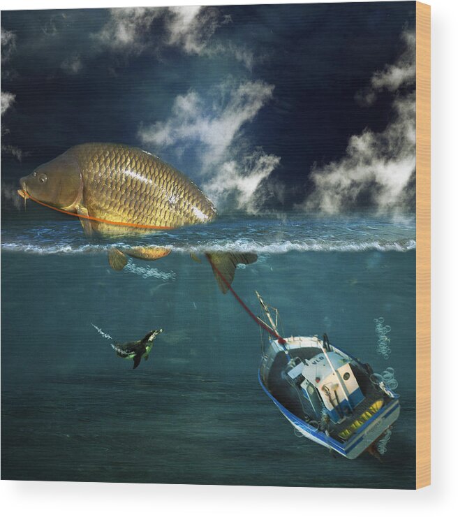 Fish Wood Print featuring the photograph Revenge by Martine Roch