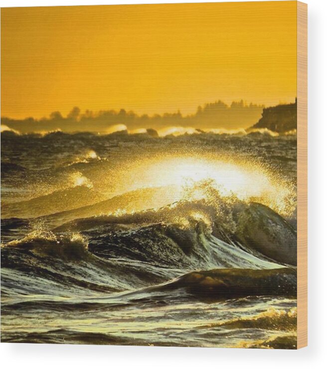 Surf Wood Print featuring the photograph Riding The Wave Of Life #photography by John Repoza