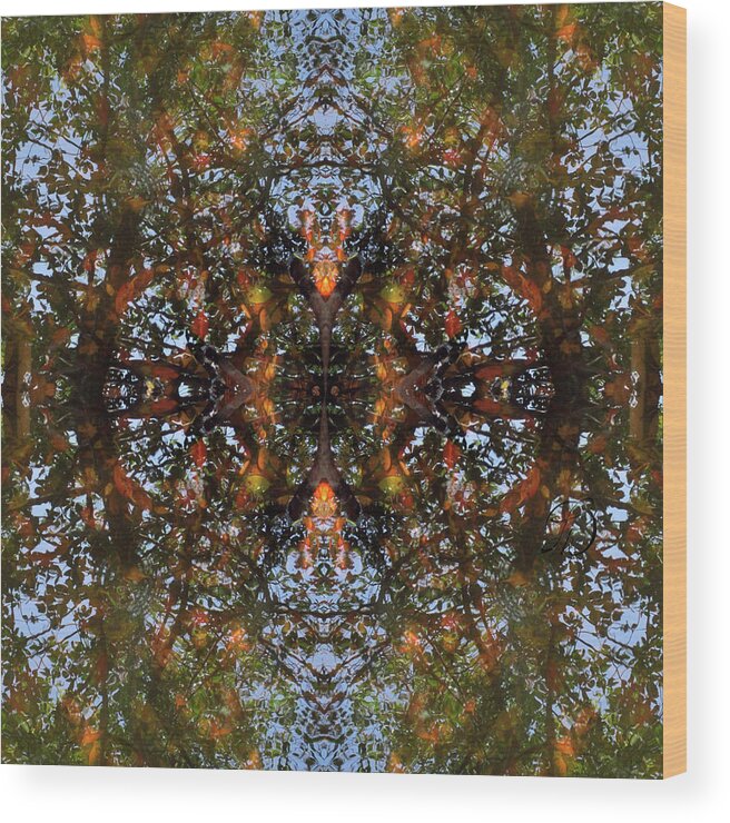 Water Wood Print featuring the digital art Ripple and Leaf by Laura Davis