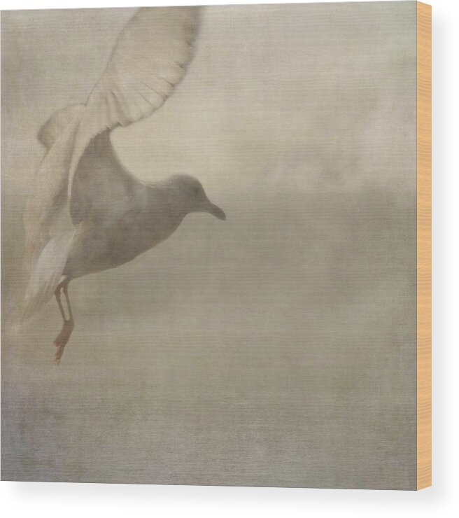 Seagull Wood Print featuring the photograph Rising Mist by Sally Banfill