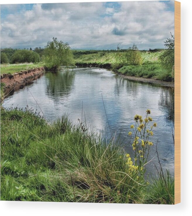 Nature_perfection Wood Print featuring the photograph River Tame, Rspb Middleton, North by John Edwards