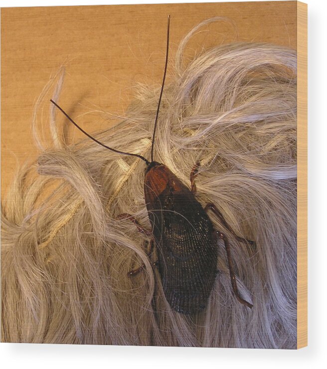 Jewelry Wood Print featuring the sculpture Roach Hair Clip by Roger Swezey