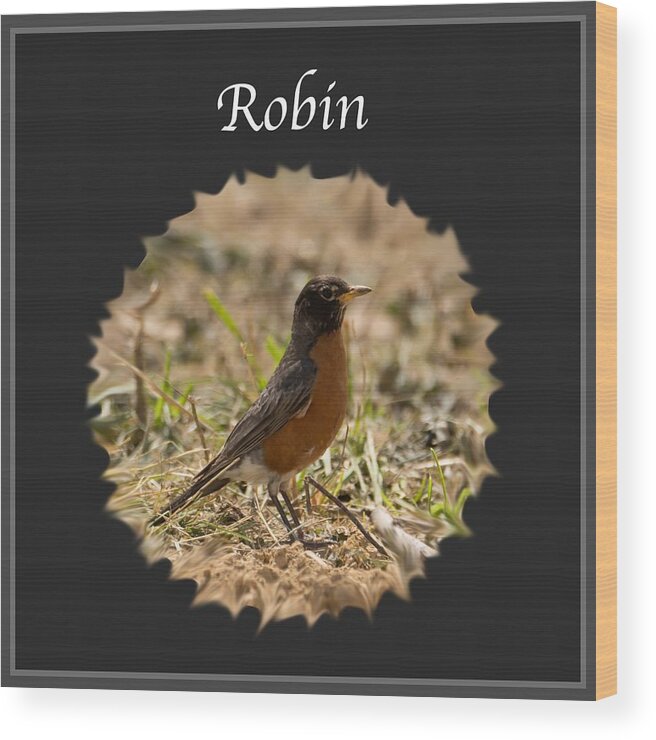 Robin Wood Print featuring the photograph Robin by Holden The Moment