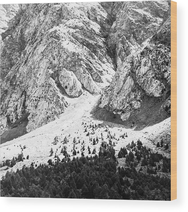 Leicagram Wood Print featuring the photograph Rock & Forest by Aleck Cartwright