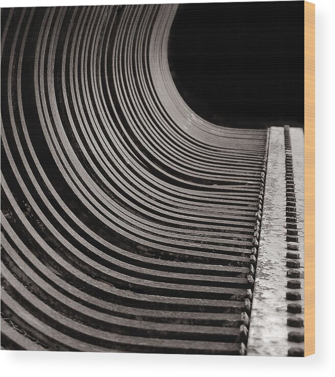 Abstract Wood Print featuring the photograph Rock Rake by Sue Capuano