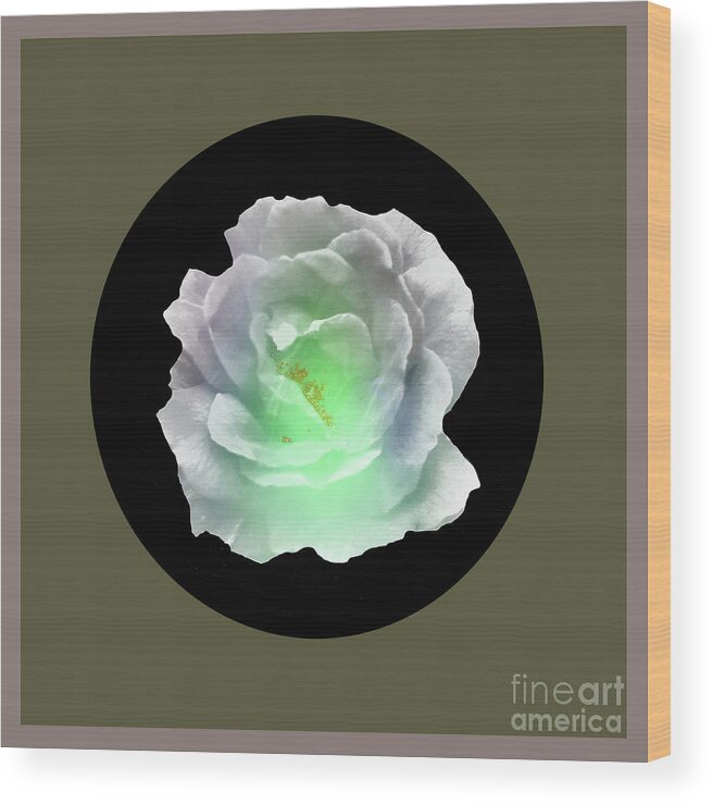 Abstract Wood Print featuring the digital art Rose 8-4 by John Krakora