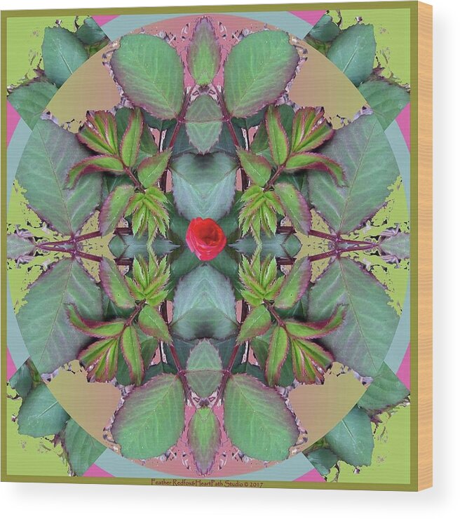 Rose Leaf Mandala Wood Print featuring the photograph Rose Leaf Mandala by Feather Redfox