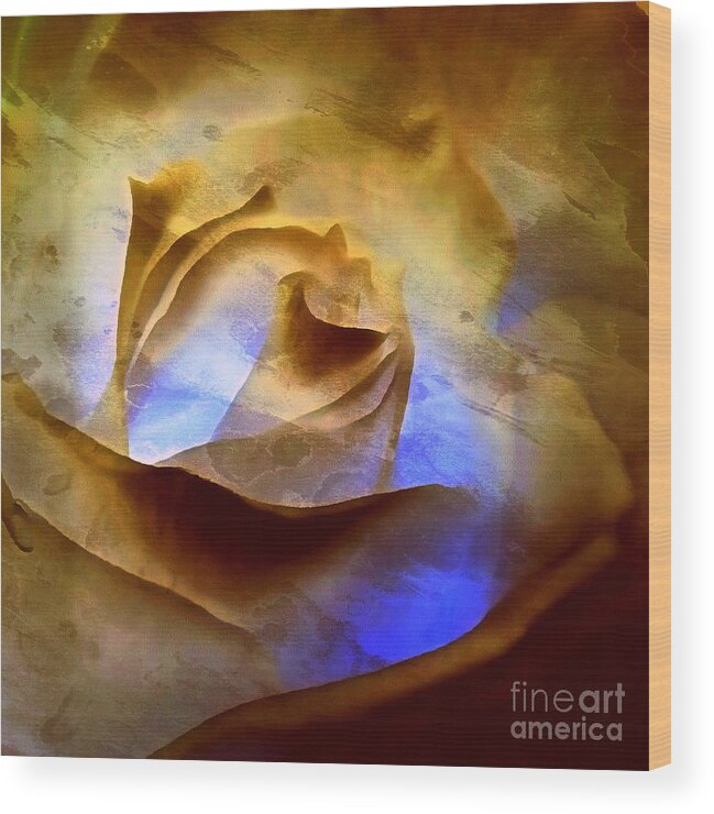 Clouds Wood Print featuring the photograph Rosebud - Till we meet again by Janine Riley
