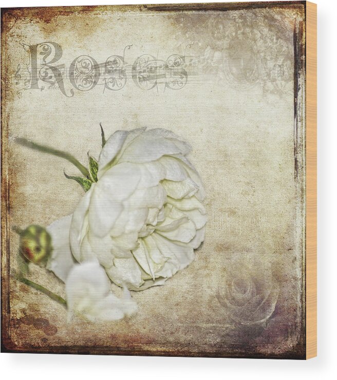 Eureka Springs Wood Print featuring the photograph Roses by Carolyn Marshall