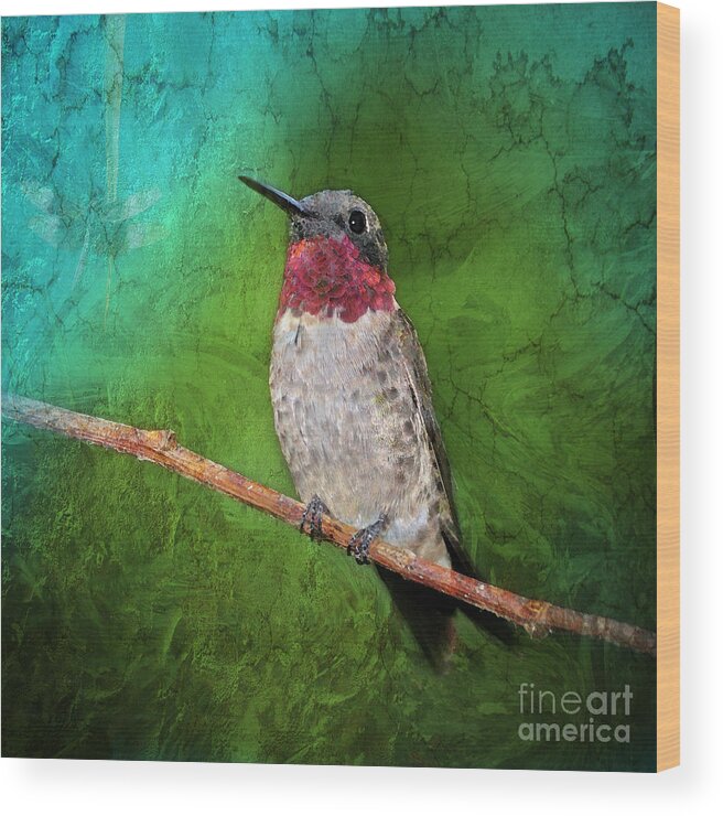 Ruby-throated Hummingbird Wood Print featuring the photograph Ruby Throated Hummingbird by Betty LaRue