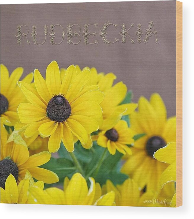 Flower Wood Print featuring the photograph Rudbeckia - (black-eyed Susan) by Deborah Green