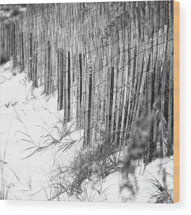 Beach Wood Print featuring the photograph Sand Fencing Preventing Beach Erosion Destin Florida Square Format Black and White by Shawn O'Brien