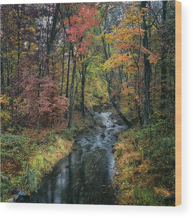 Savage Creek; Savage; Maryland; Autumn; Fall; Color; Creek; Stream; Travel; Places; Landscape Wood Print featuring the photograph Savage Creek by Robert Fawcett