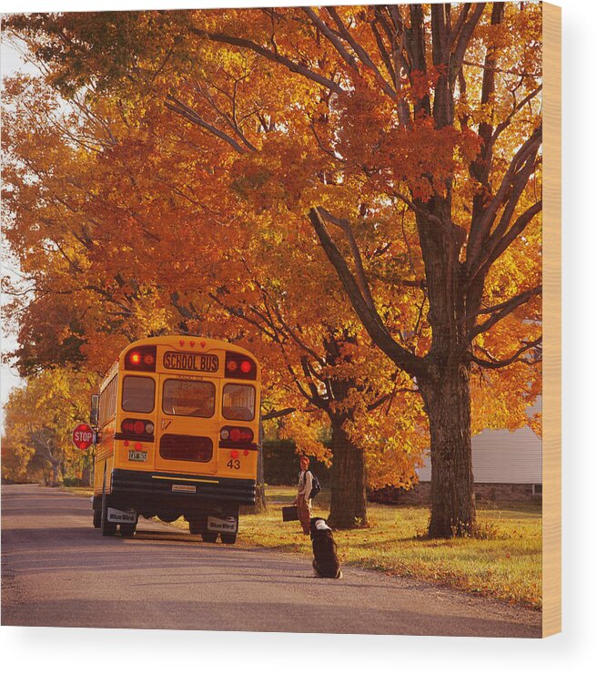 Teacher's Present. Tacher's Gift Wood Print featuring the photograph Good Bye Friend I. Vermont by George Robinson