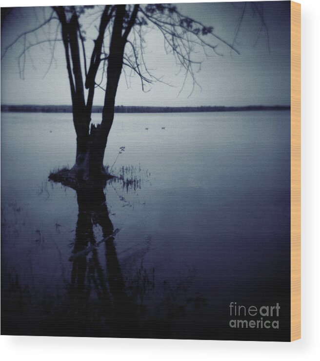 Landscape Wood Print featuring the photograph Series Wood and Water 2 by RicharD Murphy