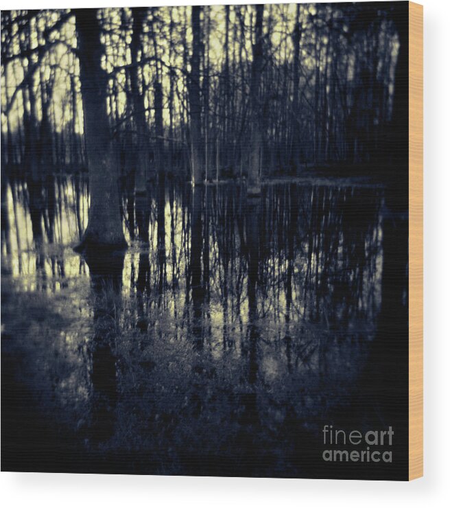 Landscape Wood Print featuring the photograph Series Wood and Water 4 by RicharD Murphy