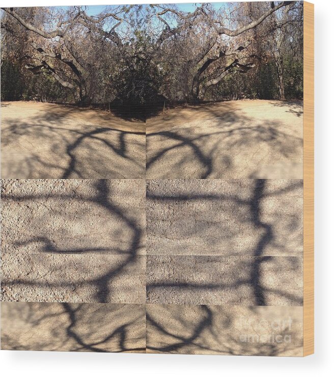 Tree Wood Print featuring the photograph Shadow Crack Lines by Nora Boghossian