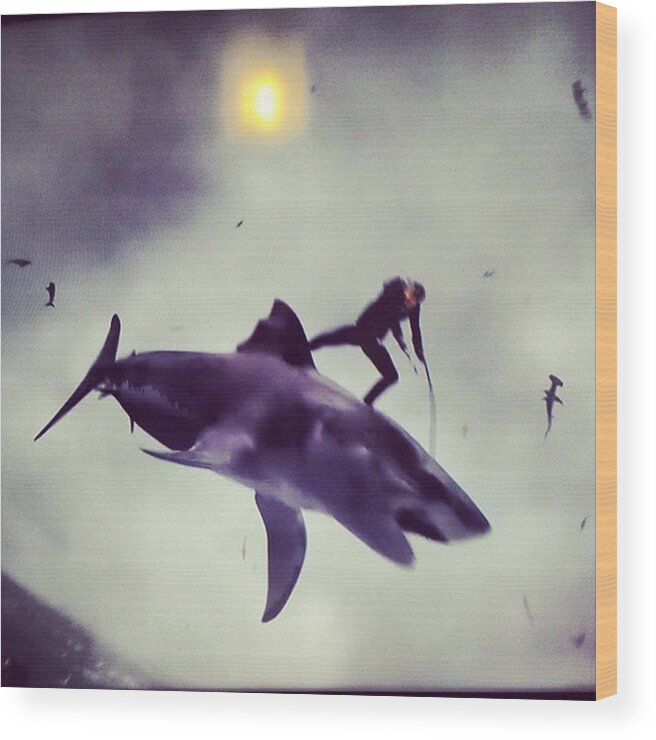 Sharks Wood Print featuring the photograph #sharknado #sharknado2 #bmovie #movie by Abdurrahman Ozlem