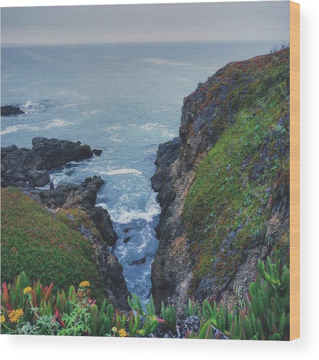 Seascape Wood Print featuring the photograph Shoreline by Nisah Cheatham