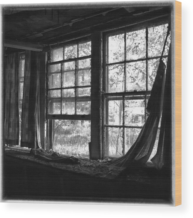 Crystal Yingling Wood Print featuring the photograph Silent View by Ghostwinds Photography