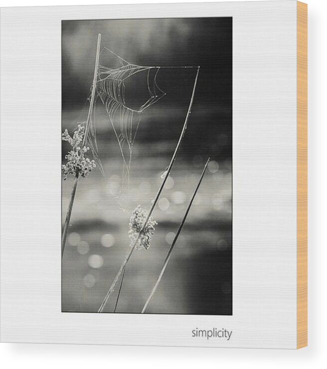 Simplicity Wood Print featuring the photograph *simplicity Von Mandy Tabatt Auf by Mandy Tabatt