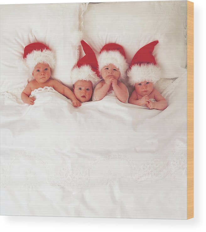 Holiday Wood Print featuring the photograph Sleepy Santas by Anne Geddes