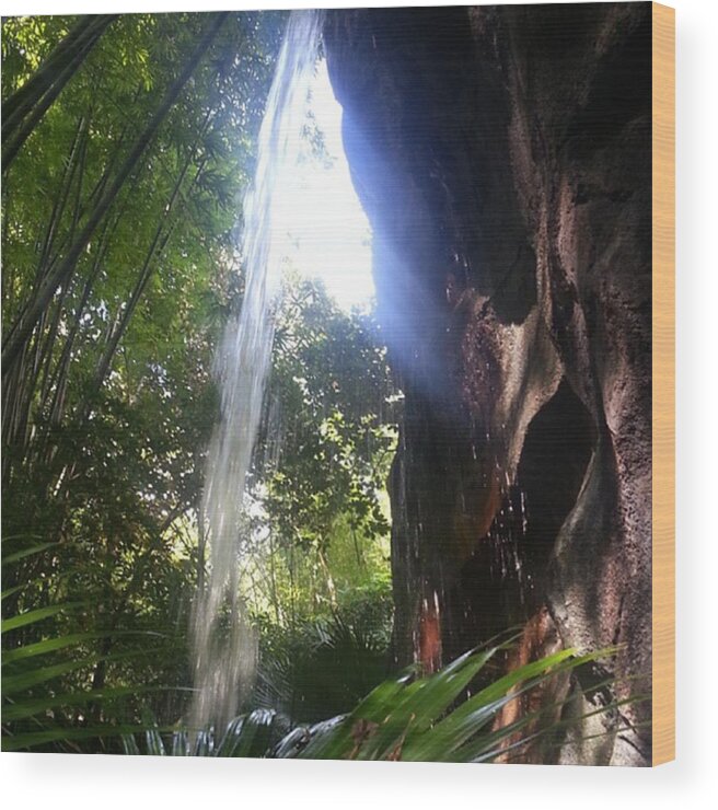 Kingdom Wood Print featuring the photograph #small #waterfall #florida #orlando by Saskia Joens